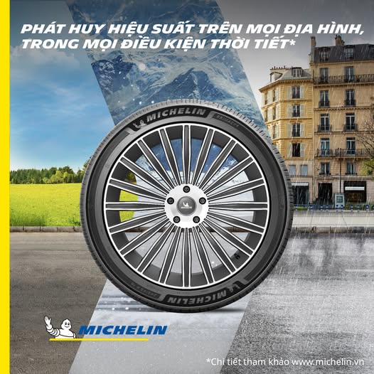 MICHELIN PRIMACY 5